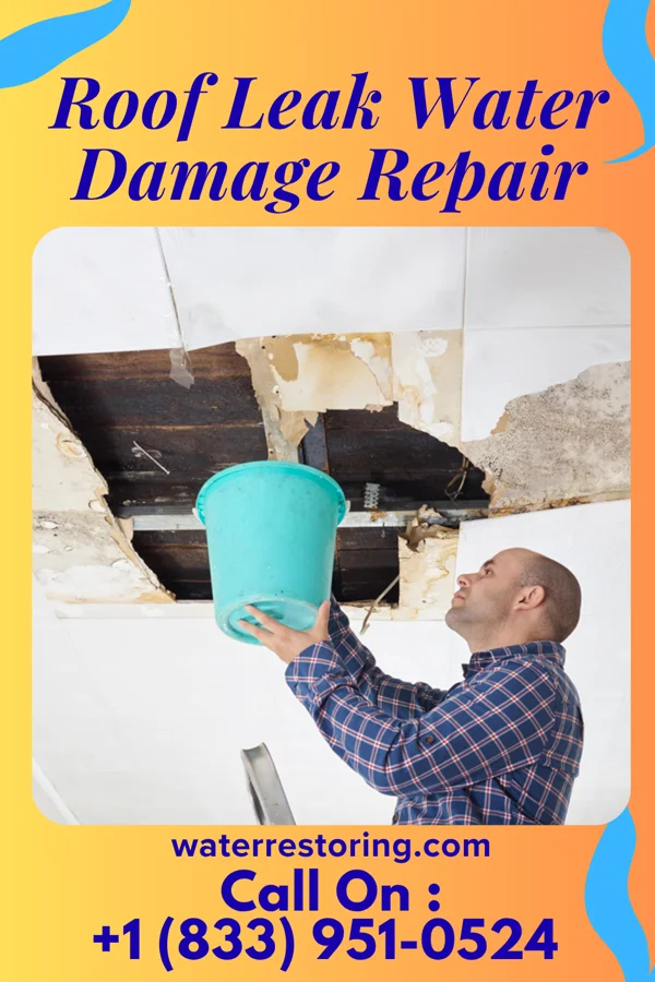 Roof Leak Water Damage Repair in Hodge, LA