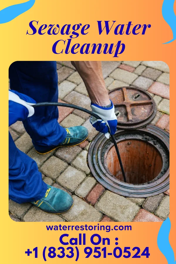 Sewage Water Cleanup in Hodge, LA